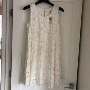 Max Studio mid-length summer lace dress